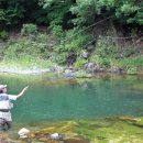 시나브로 이미지