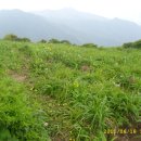 영각사주차장 이미지