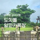 서부목장 | 제주 도치돌 알파카목장 할인 입장권 총정리｜아이랑 강아지랑 다녀온 후기