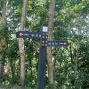 2026.06.15. 부귀산(절골~부귀산~가죽재 9.81km 7h04m)..나홀로산행.. 이미지