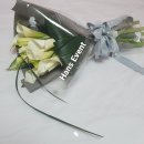 마레미오 이미지