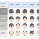 와이비쥬