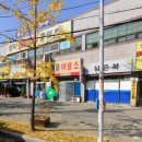 포항청마복싱다이어트클럽 | 복싱 vs 러닝 다이어트 효과 비교 포항청마복싱(환호동복싱)