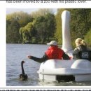 백조현대@ 이미지