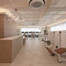 비벨라핏 이미지