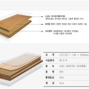 아야진초등학교 이미지