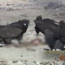 (주)빛을 꿈꾸는 사람들