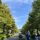 (주)드림랜드 | [전주 나들이] 🦁 전주동물원 & 전주드림랜드 당일치기 나들이 후기