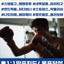 김민기 복싱클럽 이미지