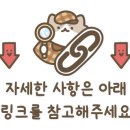 주식회사 마이리얼트립 이미지
