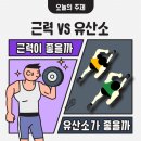 리턴투핏 네이버블로그