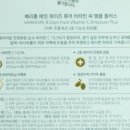 퓨어데이즈