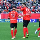 상대양과 이미지