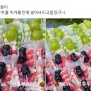 당뇨 걸리고 싶어 환장한 조선인들.. 탕후루x마카롱 출시 이미지