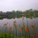 유정천리 이미지