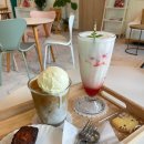 방배천로4길 23 (18) | 동탄 애견동반 카페 추천 카페 바울 커피 디저트가 맛집