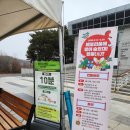 길 위의 시선 유기동물의 계절 | 충청도 여행지 추천 코스 1탄 서천 국립생태원 예약 에코버스 에코리움 관람 후기