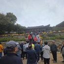 북강릉농협경제사업소 | “서산, 노을에 물든 역사”“서해의 노을, 천년의 빛 – 서산으로 떠나는 대전고 57회 동기들의 역사...