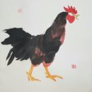 장닭 이미지