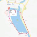 정양늪생태공원 | [탐조일기] (경남) 합천 정양늪 생태공원 탐조 (26.03.29.) ★★★