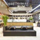디보쉬 헤어 이미지