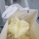프로과일러