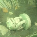 청자헬스 이미지