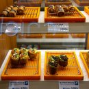 도제신세계강남점