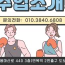 복싱100 이미지