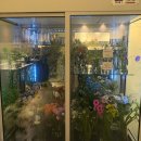 테소로 | 울산 동구 꽃집 테소로 꽃다발 화분
