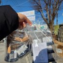 원 바이 원 | 원주두쫀쿠맛집 자매제과 두쫀쿠 헤자쫀쿠 두바이소금빵 솔직후기 원주두바이쫀득쿠키