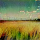 남인우 농장 이미지