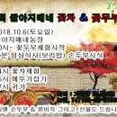 쌀아지매