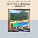 스테이 자이언 이미지