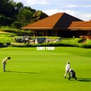 마닐라PC 이미지