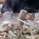 원주곰장어 이미지