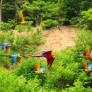 날아라슈퍼 이미지