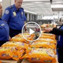 Song Long Food 이미지