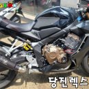 렉스코리아