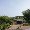 궁평특산물명품관