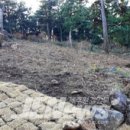 효돈동-1 이미지