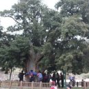 송월목장 이미지