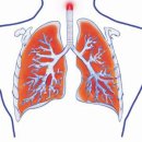 감기로 오해하는 ‘폐섬유증’ 이미지