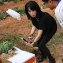 조미영농장 이미지