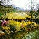 꽃, 이어라 이미지