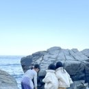 웨이트리 이미지