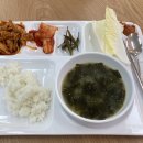 4월 첫주_카펜트리2호점, 강릉 오르도펜션, 강릉 벚꽃여행
