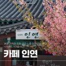 수카페 | 포항 원법사 카페 인연 | 사찰 카페 수제 약과 수자차 후기