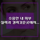 (주)브니엘특수 | 환하고 촉촉한 피부 만들기★탈라★로 피부관리 만나는 노블레스 스페셜관리❤신봉동 성복동❤성복역주변