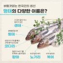 명태사랑 이미지